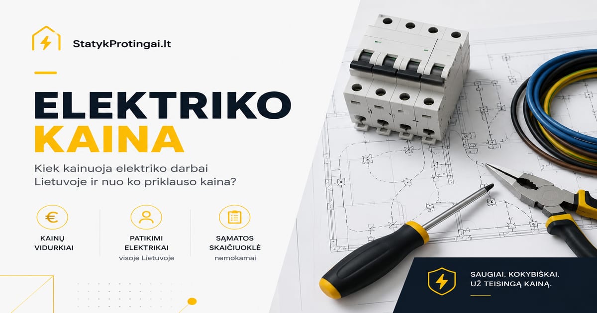 Elektrikas Lietuvoje 2026: kainos 25–45 €/val.